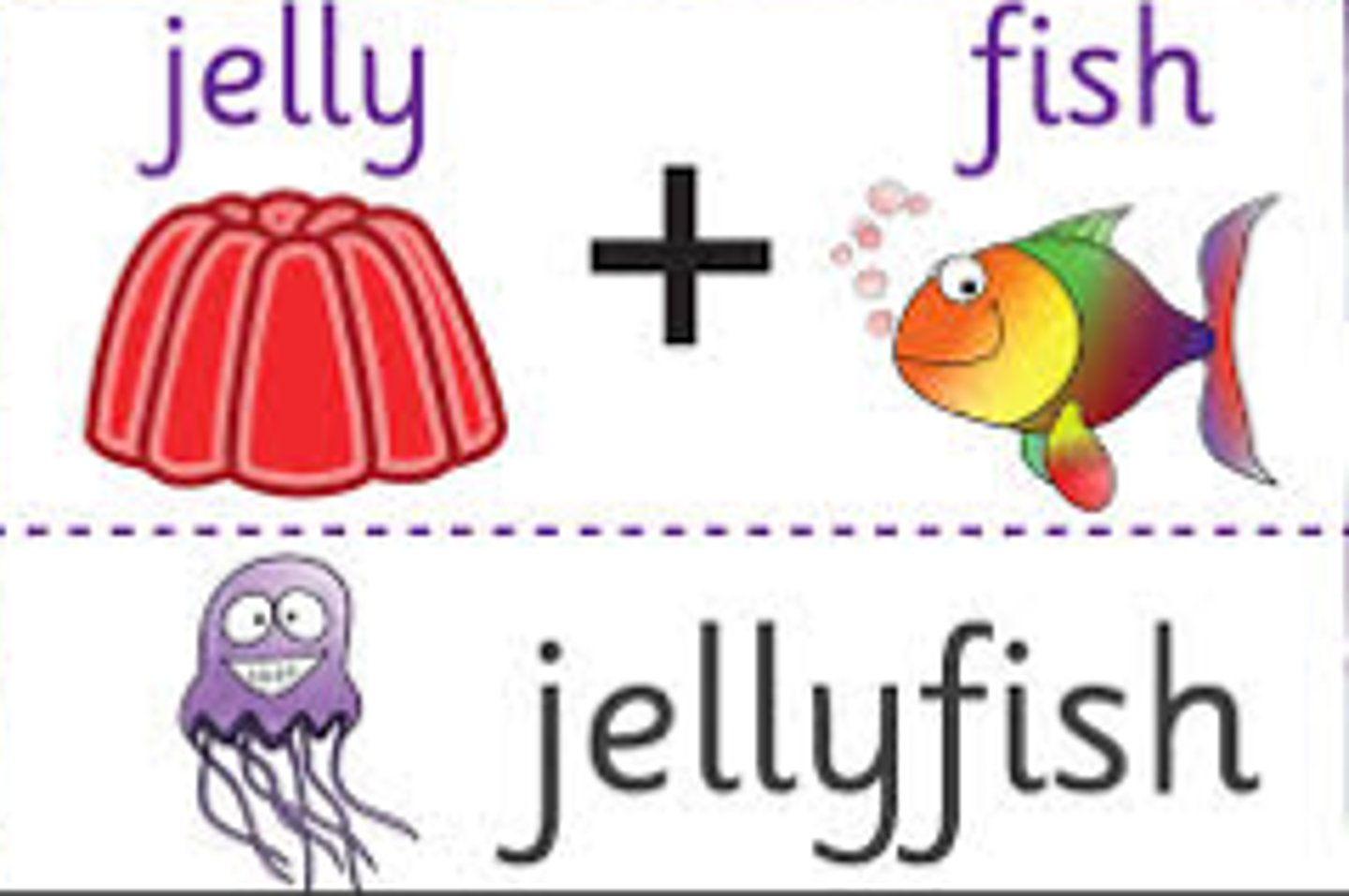 <p>Two or more words combined to create a new word.</p>