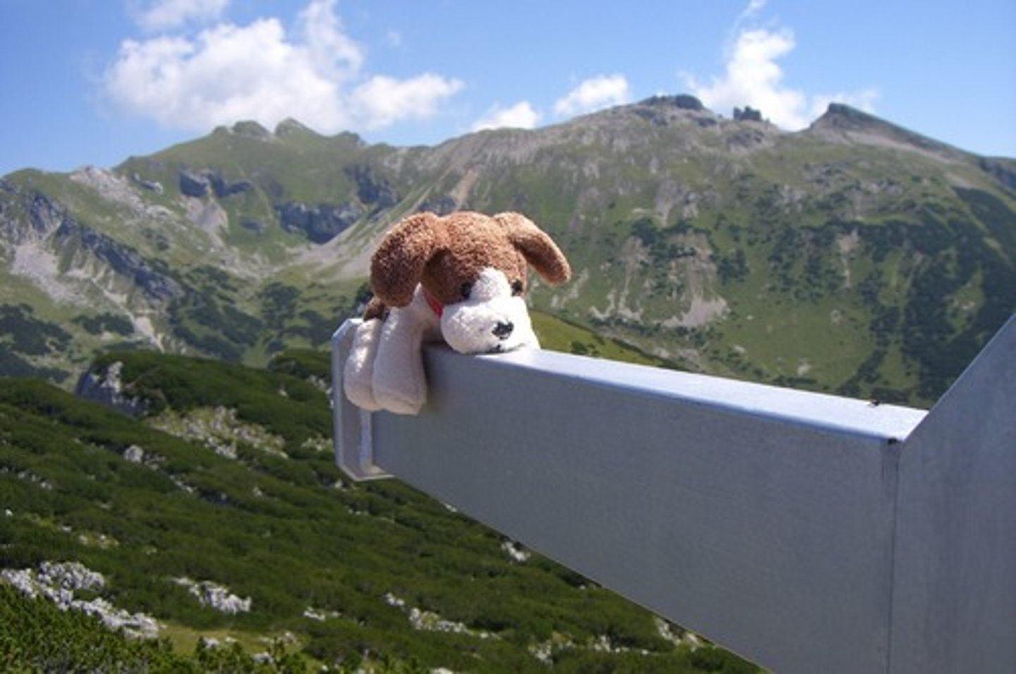 <p>fear of heights</p>