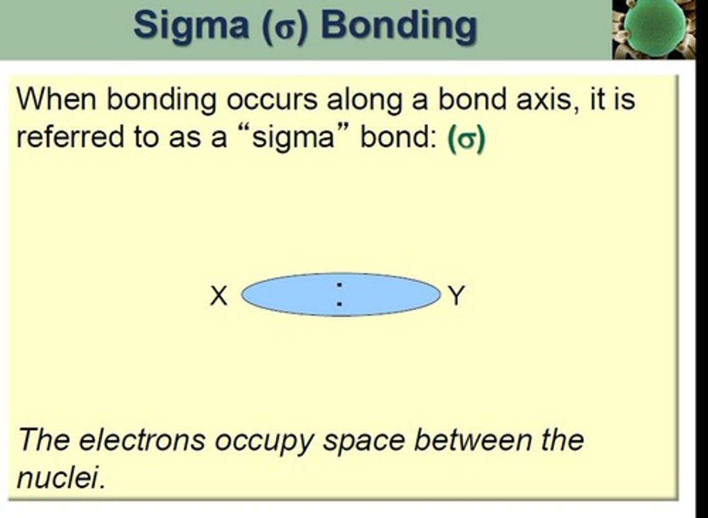 <p>First bond formed by head-on orbital overlap.</p>