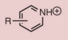 <p>What is the name of this functional group?</p>