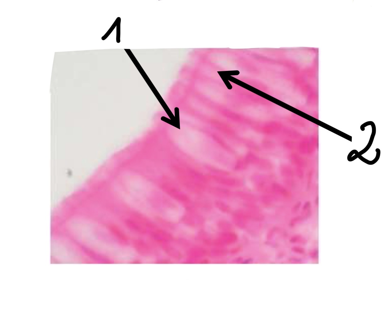 <p>2</p>
