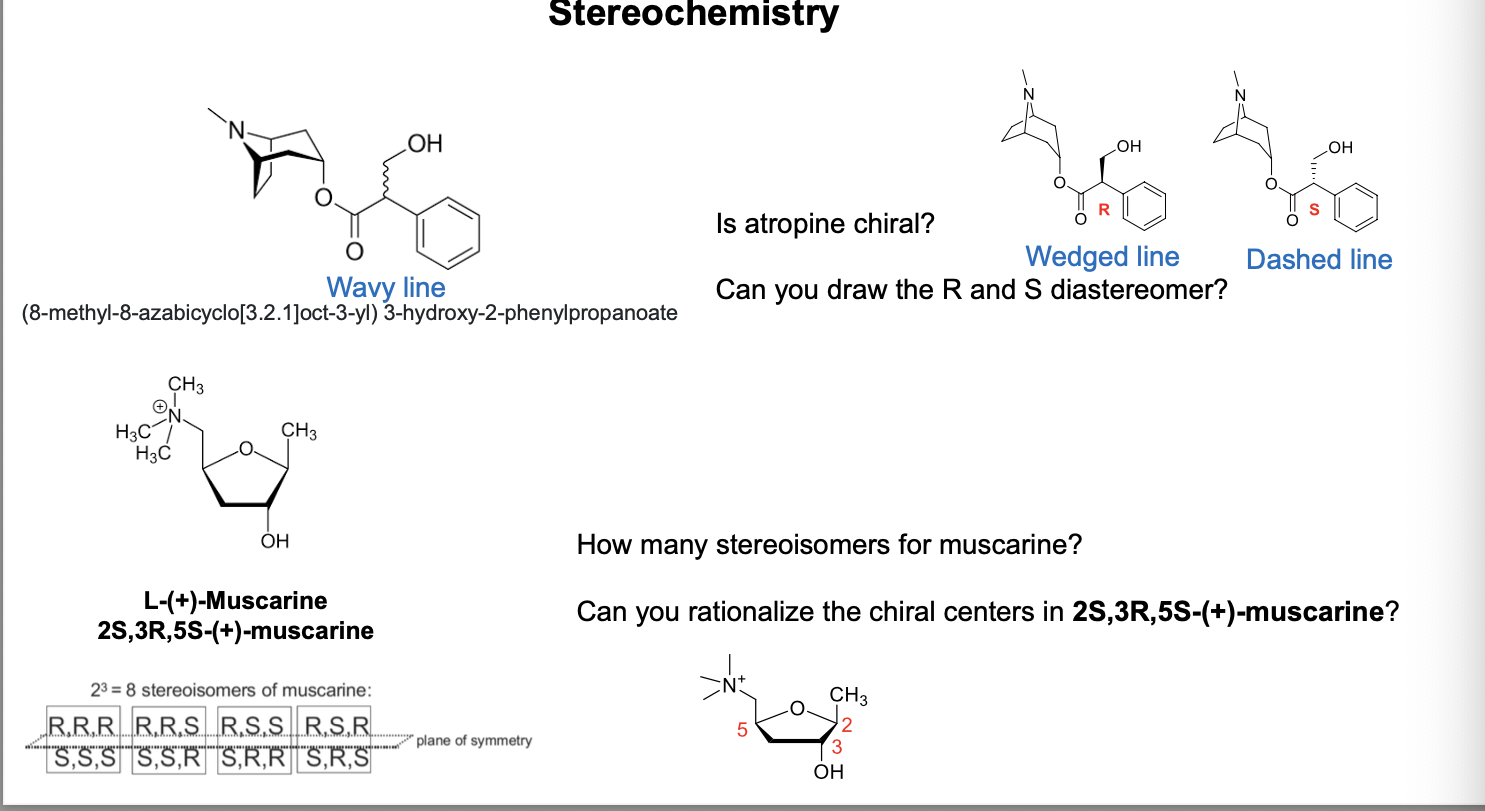 <ul><li><p>atropine is chiral </p></li><li><p>wavy bond at benzylic OH indicates <u>unspecified configuation</u>; can be R or S; used when stereocenter’s configuration is unknown or a mixture is present</p></li></ul><p></p>