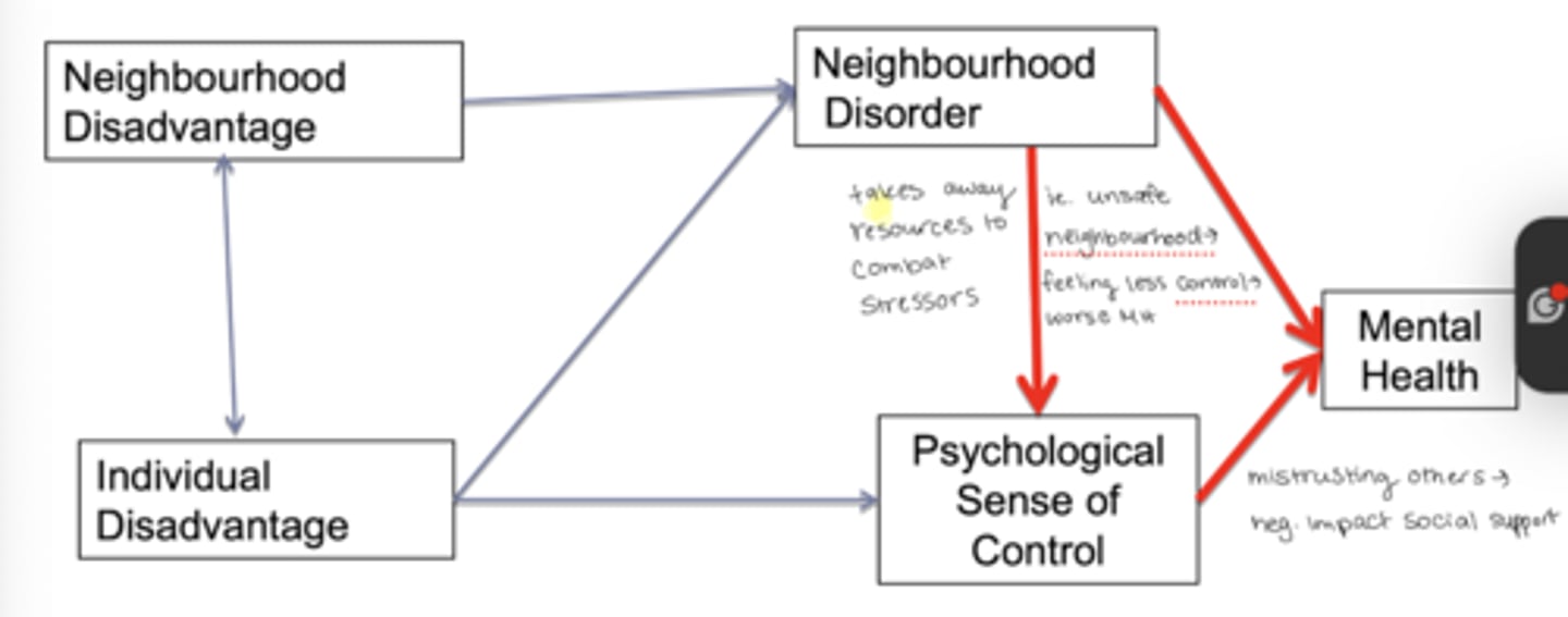 <p>neighbourhood disorder directly leads to worsened mental health and indirectly impacts mental health by reducing psychological sense of control (ie. unsafe neighbourhoods-> feeling less in control -> worse MH outcomes)</p>