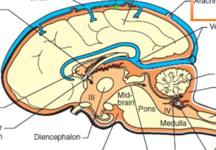 <p>what is indicated by the green dot?</p>