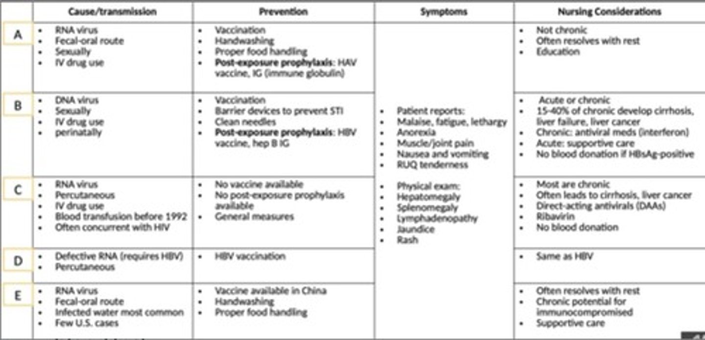 <p>Fecal-oral route, sexually, and IV drug use.</p>