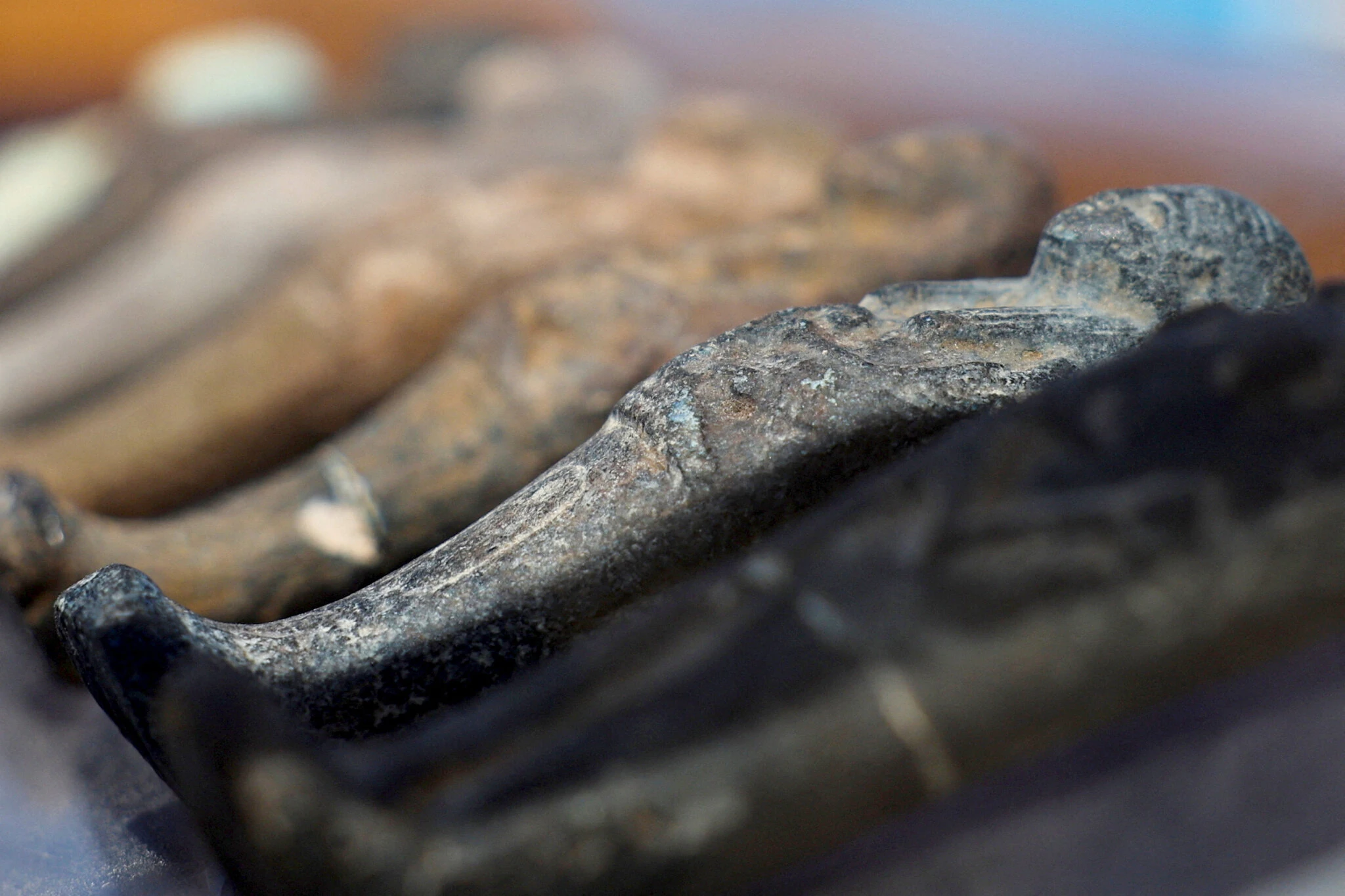 <p>I saw</p><p>I saw mummies in the museum.</p>