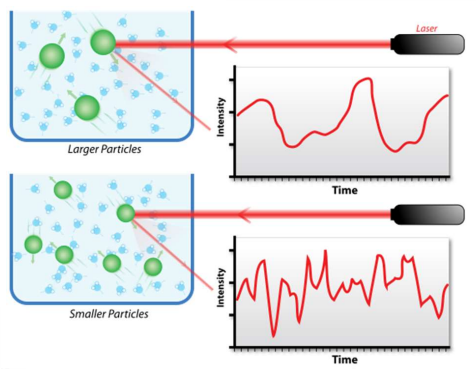 <p>DLS (Dynamic Light Scattering) shines light onto NPs, causing it to be scattered and creates an intensity v time graph. As the NPs rotate, light intensity fluctuates- slow rotation means less fluctuation. This means you can find the size of NPs as small NPs tumble quickly, whereas larger ones tumble slower.</p><p>However it is harder to analyse if the NPs are not spherical.</p>