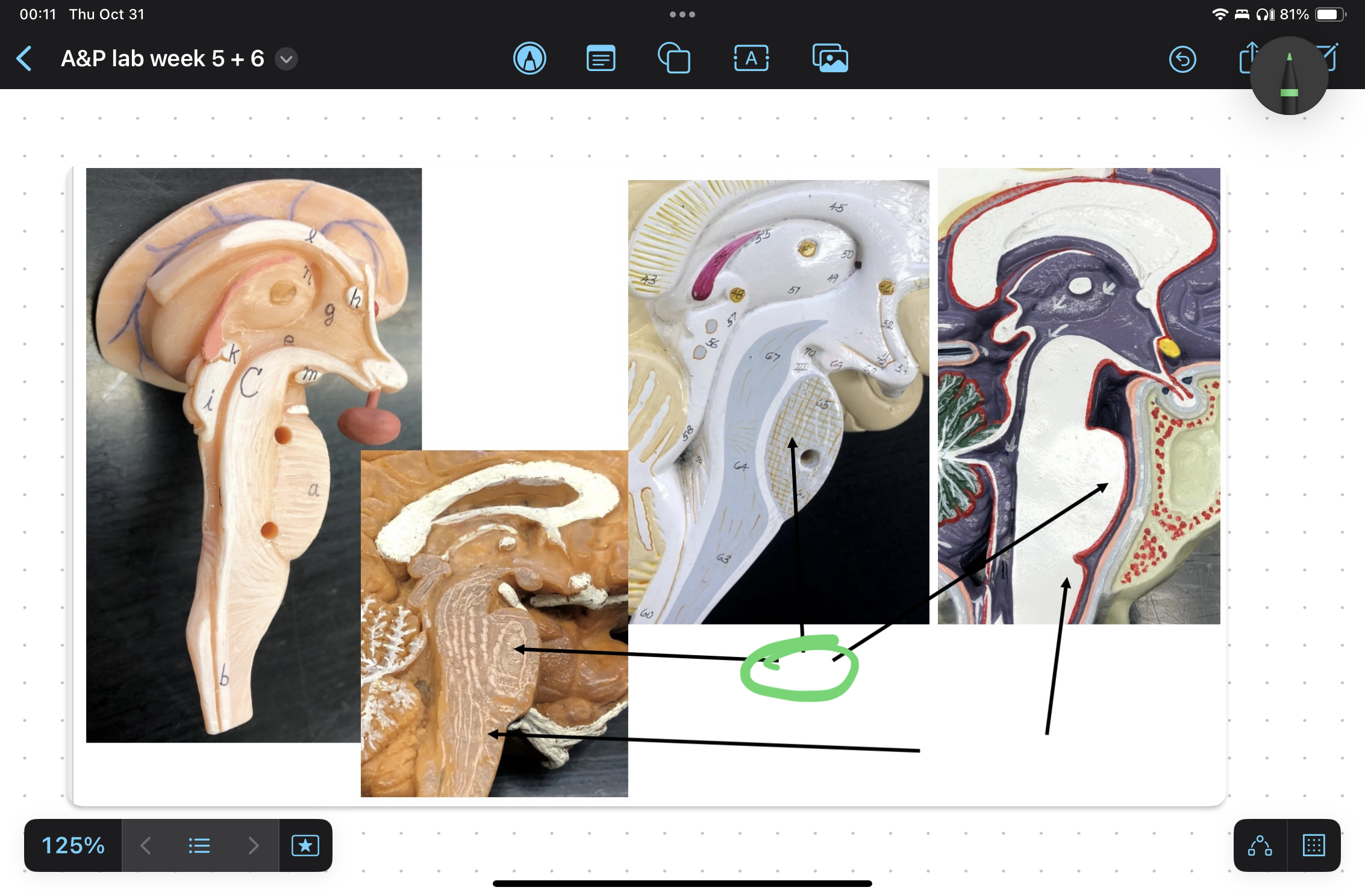 knowt flashcard image