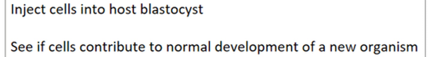 <p>Inject cells into host blastocyst<br>See if cells contribute to normal development of a new organism</p>
