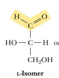 <p>has an aldehyde functionality </p>
