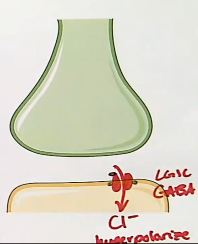 <p><span><span>positive allosteric modulation (PAM) of GABA</span><sub><span>A</span></sub><span> receptors; reduces activity in hypothalamic-pituitary-adrenal (HPA) axis</span></span></p><ul><li><p>brexanolone</p></li></ul><p></p>