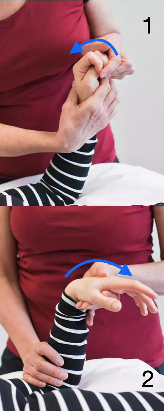<p>Stabilisera underarmen med en hand och fatta tag i patientens hand med din andra hand.</p><ol><li><p>Palmarflexion: Böj handleden bakåt. Lägg tryck i handflatan</p></li><li><p>Dorsalflexion: Böj handleden framåt</p></li></ol>