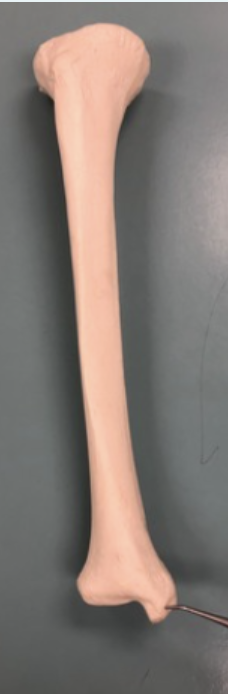 <p><span style="font-family: -apple-system, system-ui, Segoe UI, Roboto, Helvetica Neue, Arial, Noto Sans, Liberation Sans, sans-serif, Apple Color Emoji, Segoe UI Emoji, Segoe UI Symbol, Noto Color Emoji">Identify this feature.&nbsp;</span></p>