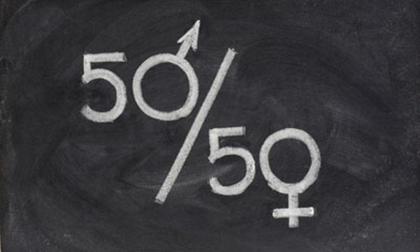 <p>- Biology is not destiny - we are all products of our social expectations.</p><p>- Women need equal oppotunities in the public sphere through the law.</p><p>- Meritocracy.</p>