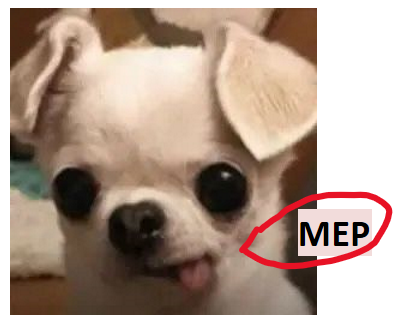 <ul><li><p>MW</p></li><li><p>Effective dose of a drug</p></li><li><p>Partition coefficient (log P)</p></li></ul>