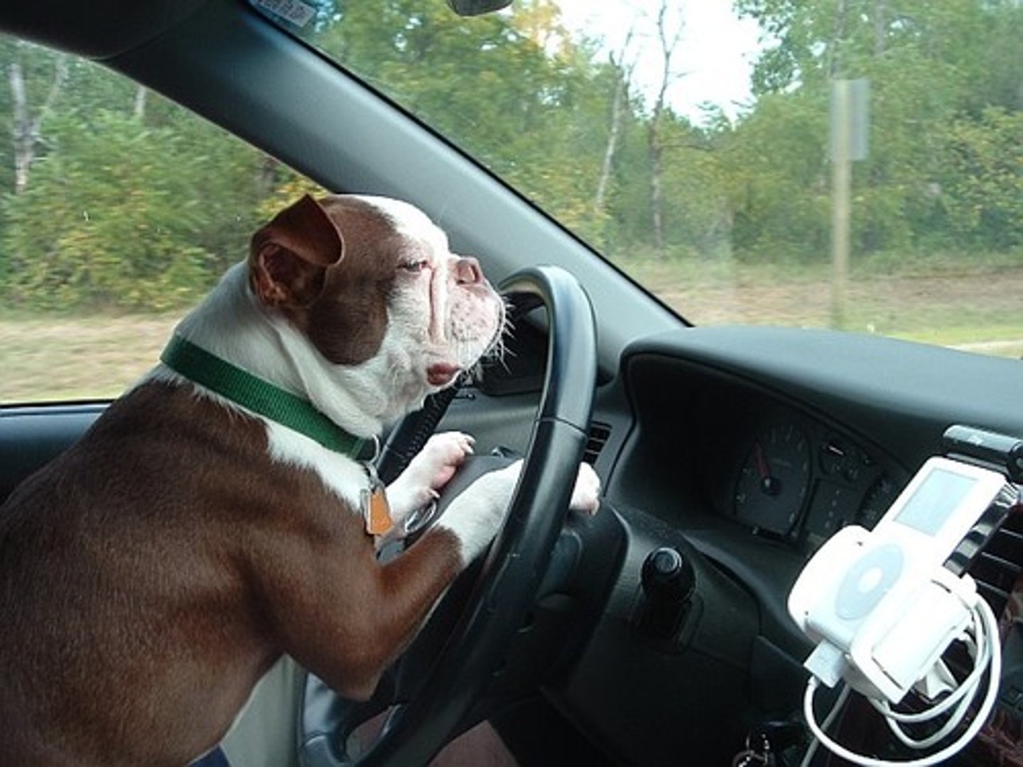 <p>he/she drove</p>