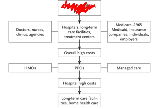 <p>what is inked in red in this diagram</p>