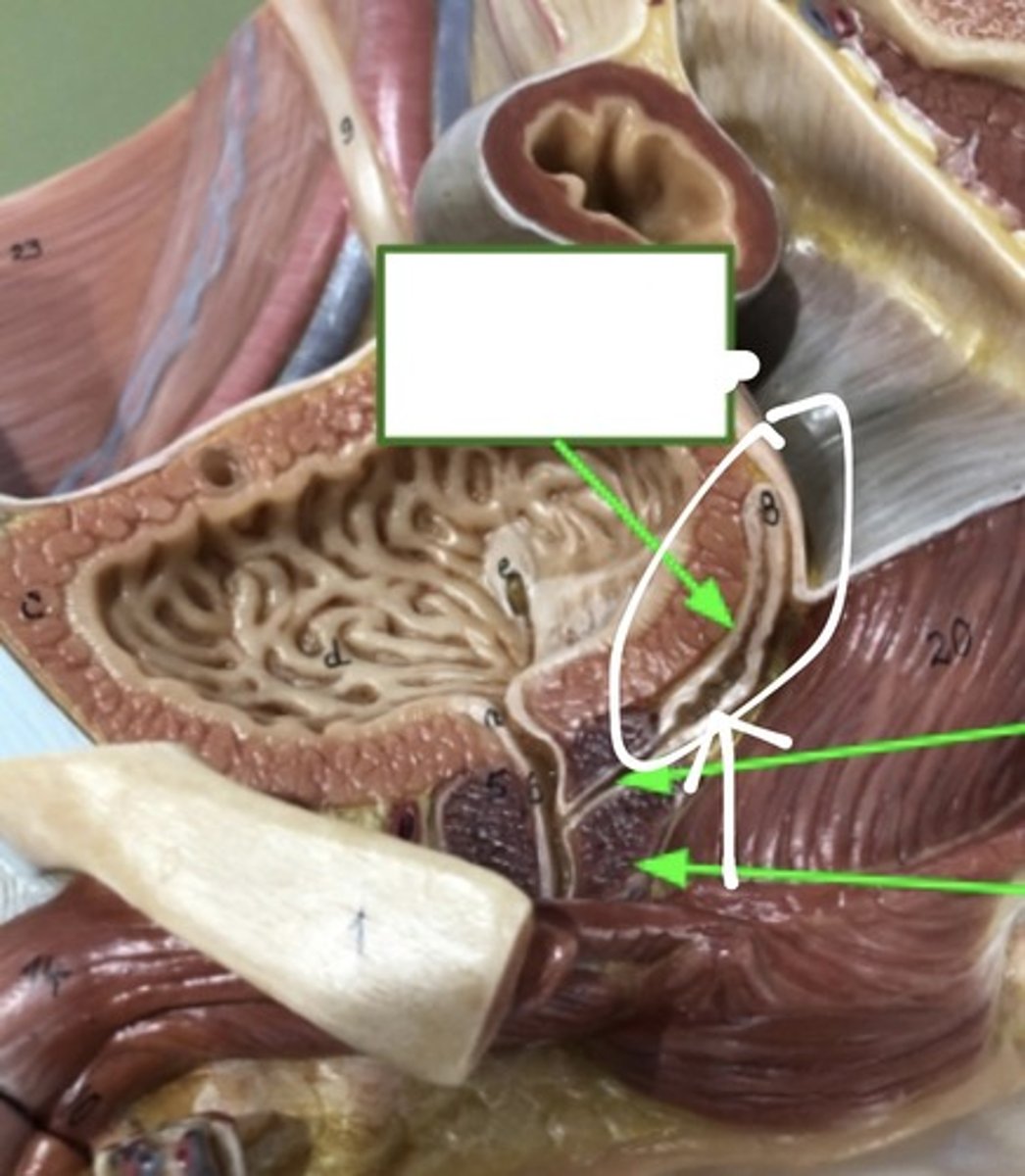 <p>ID the structure</p>