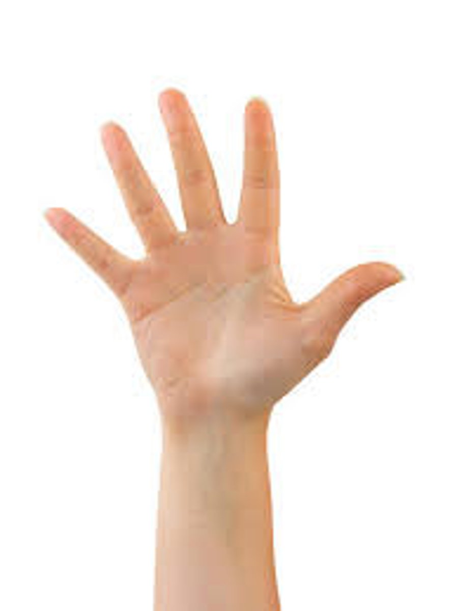 <p>hand</p>