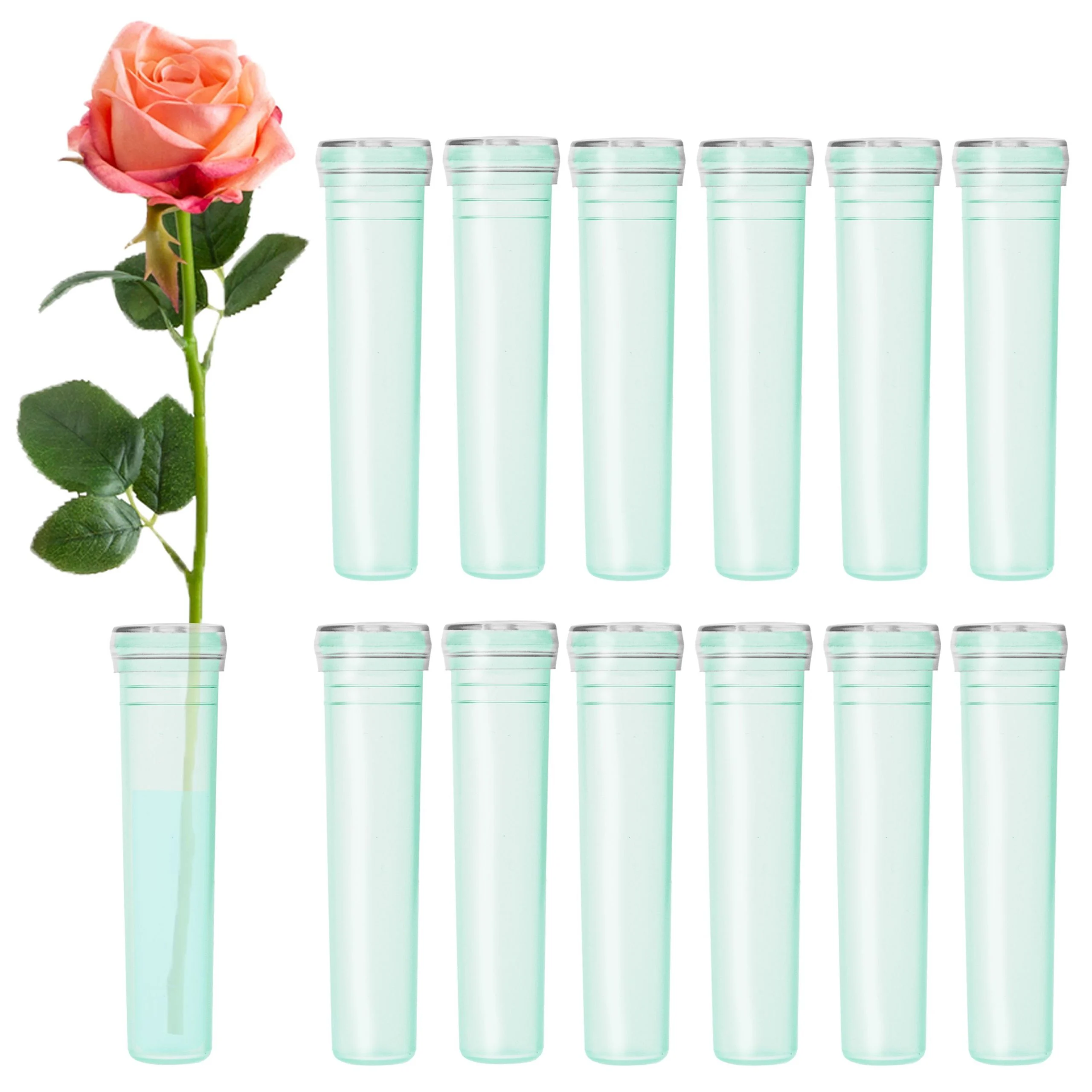 <p>clear, plastic tubes with tight fitting clear cap; ideal for boxed flowers</p>