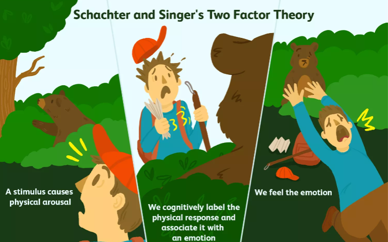 <p>Schachter-Singer theory</p>