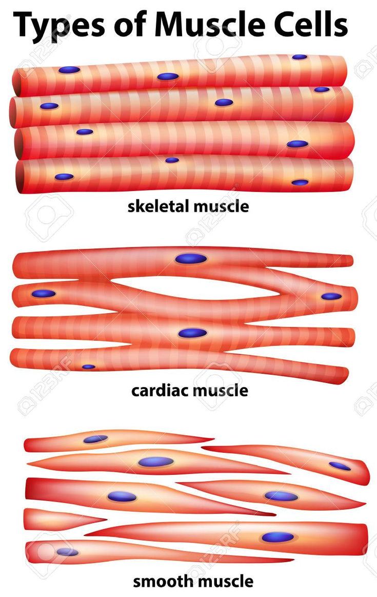 <p>STUDY THESE</p>