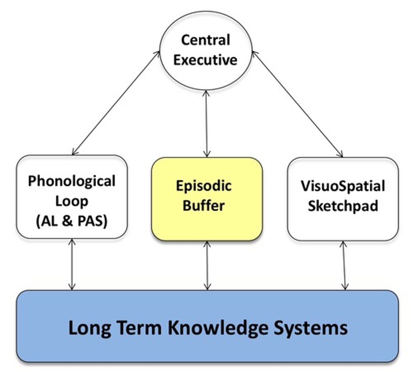 <p>Added by Baddely later on (2000)</p><p>A temporary store- intergrating information from other sub systems rather than seperate strands</p><p>It's a bridge between working memory and LTM.</p>