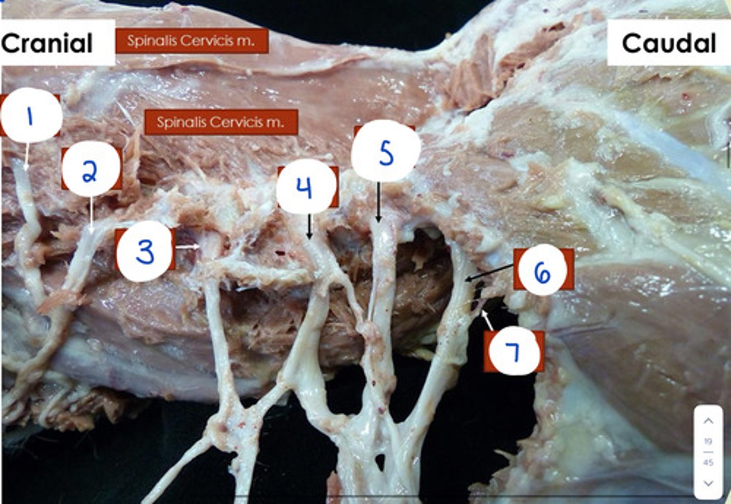 <p>What is 3?</p>