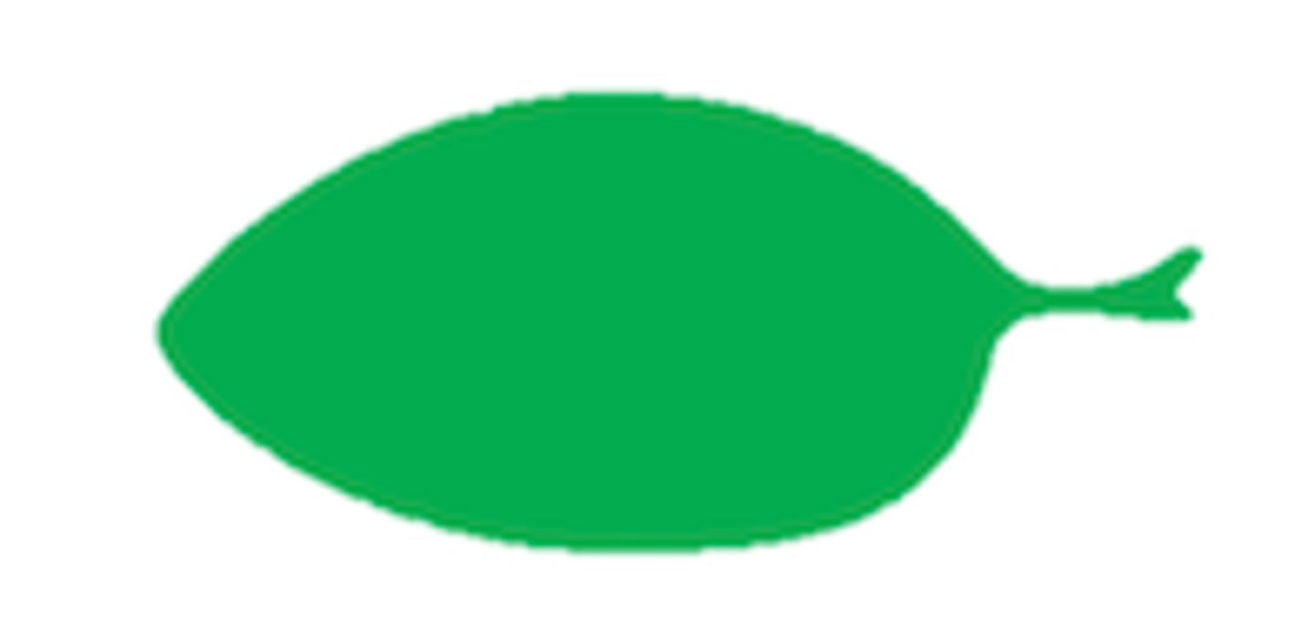 <p>What shape is this leaf?</p>