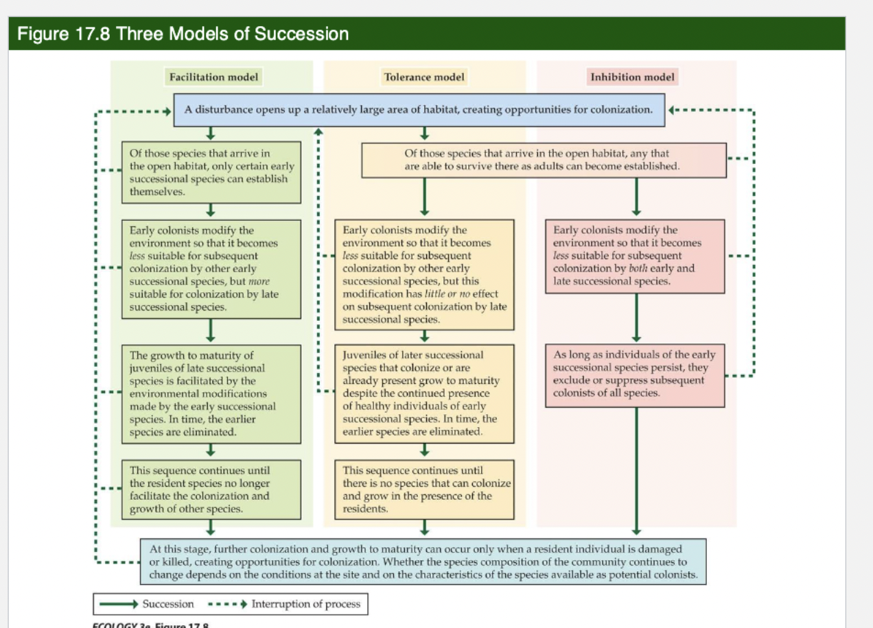 <p>Three Models of Succession (Connell and Slatyer)</p>