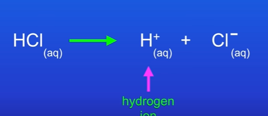<p>They fully ionise in aqueous solutions. This can be told by the arrow, telling us the acid has fully ionised.</p>