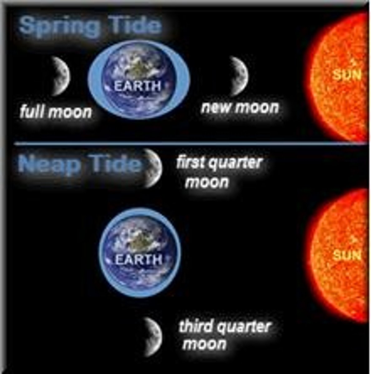 <p>The gravitational pull of the sun and the moon on the Earth's oceans.</p>