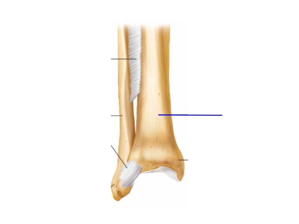 <p>What is this image pointing at? </p>