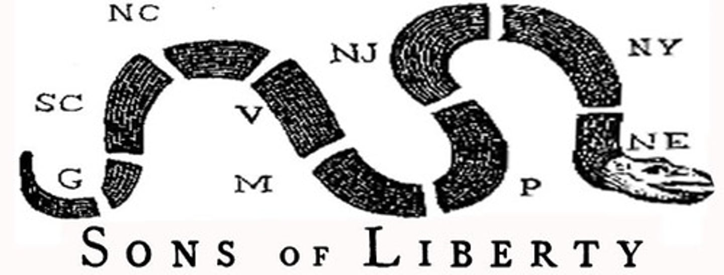 <p>A group of colonists who organized colonial resistance to oppose British policies</p>