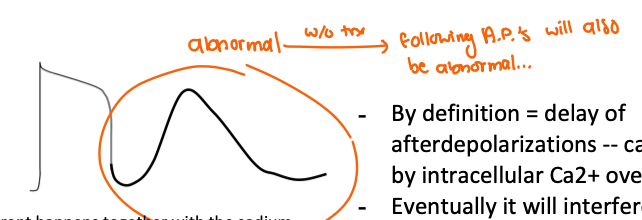 <p>the following action potential will also be abnormal</p>