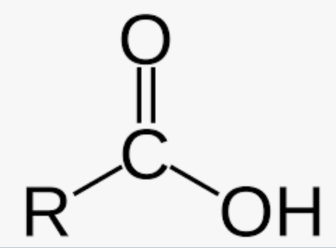 <p>Carbon with an oxygen double bond, and connected to an OH and a hydrogen or a carbon</p>