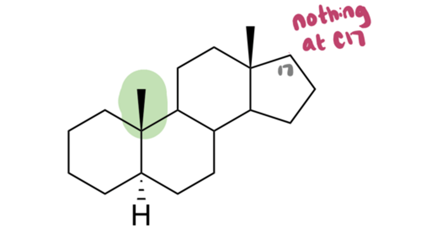 <p>What steroid nucleus is this?</p>