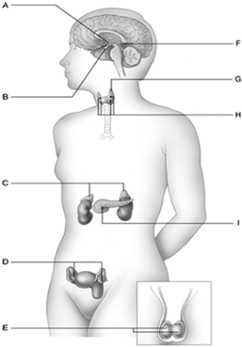 <p>i</p>