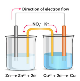 <p>to maintain electrical neutrality:</p><ul><li><p>-vely charged ion moves to +ve ½ cell via salt bridge</p></li><li><p>+vely charged ion move to -ve ½ cell via salt bridge </p></li></ul><p></p>