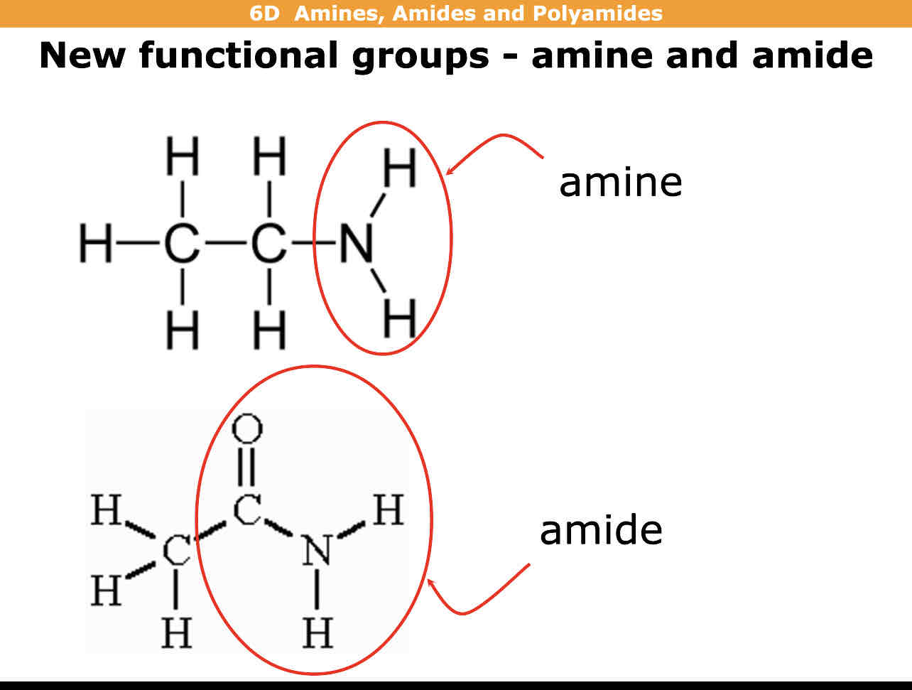 <p>Amine is N bonded to 2 hydrogens </p><p>Amide is N bonded to 2 Hydrogen atoms also with C=O</p>