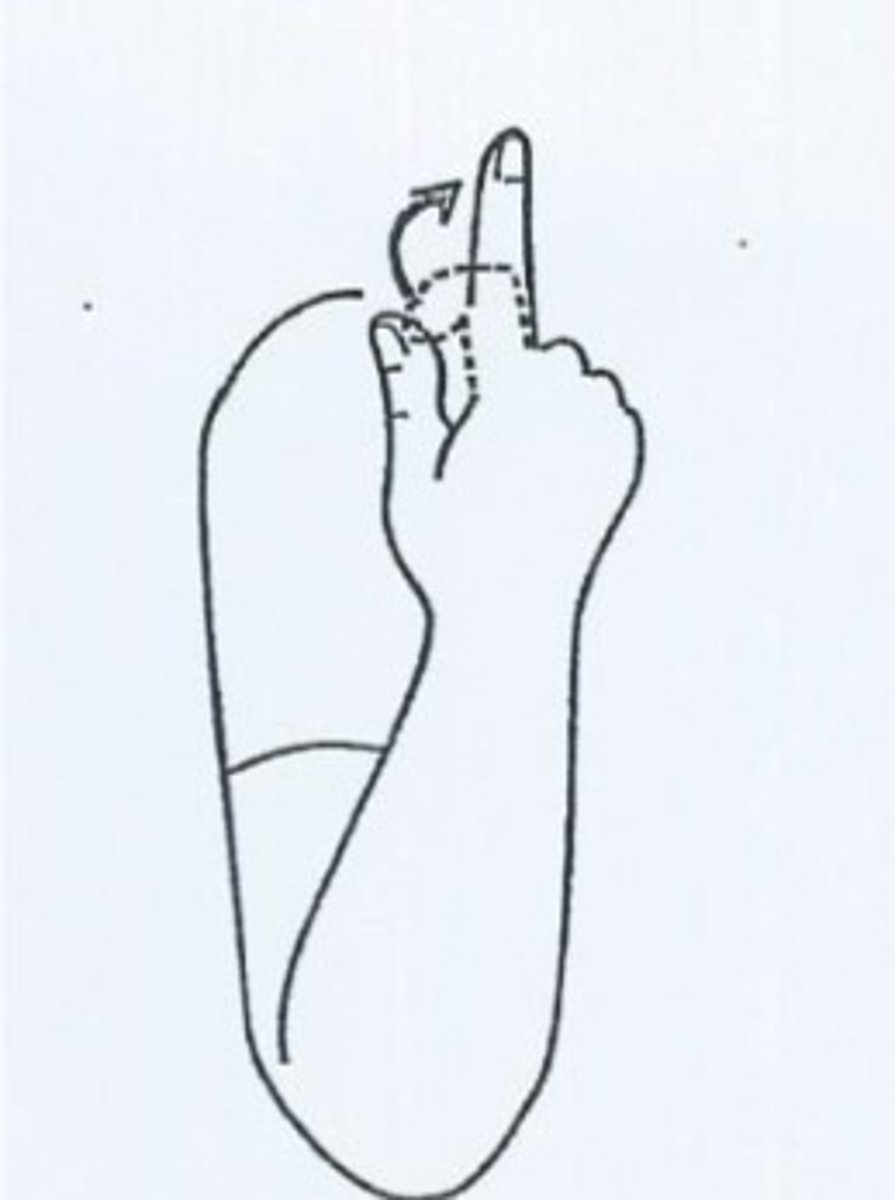 knowt flashcard image