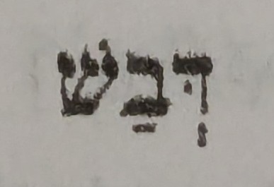 term image
