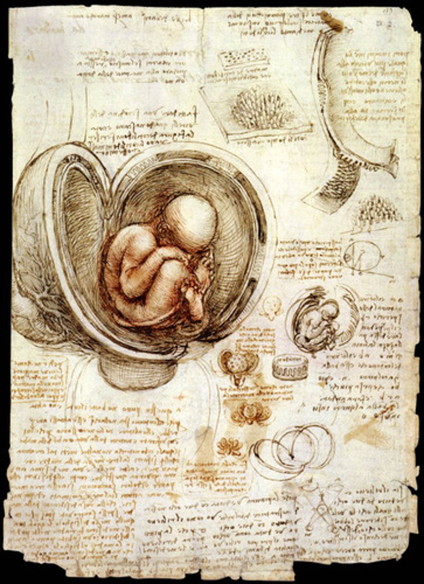 <p>High Renaissance</p>