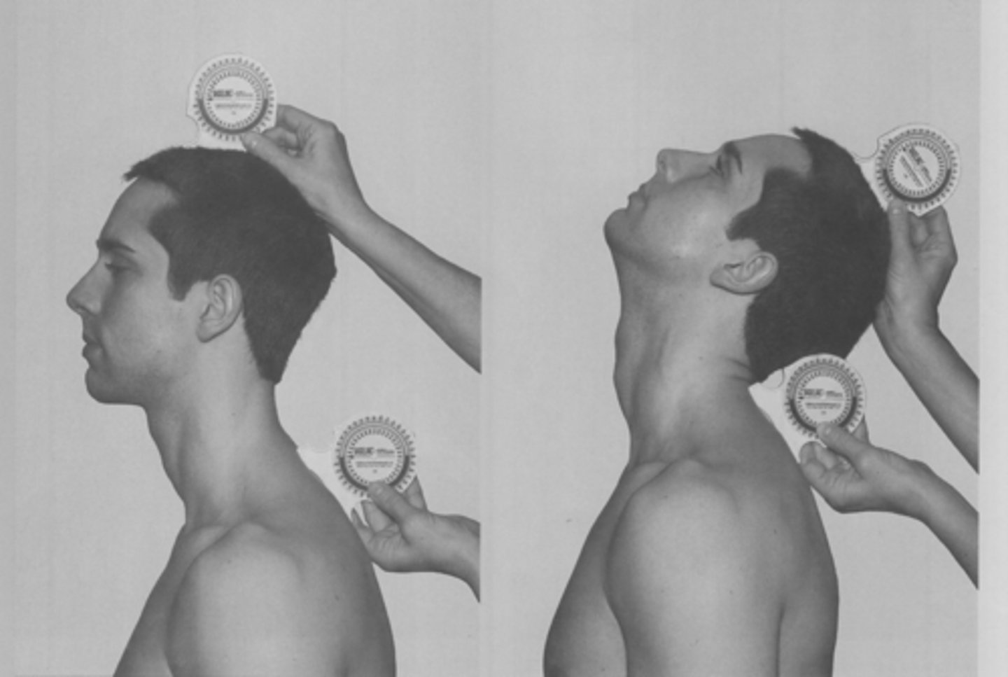 <p>T1 and top of head<br>(make T1 on lateral spine of scapula)</p>