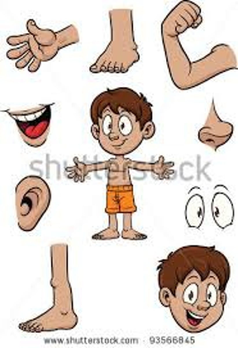 <p>Body</p>