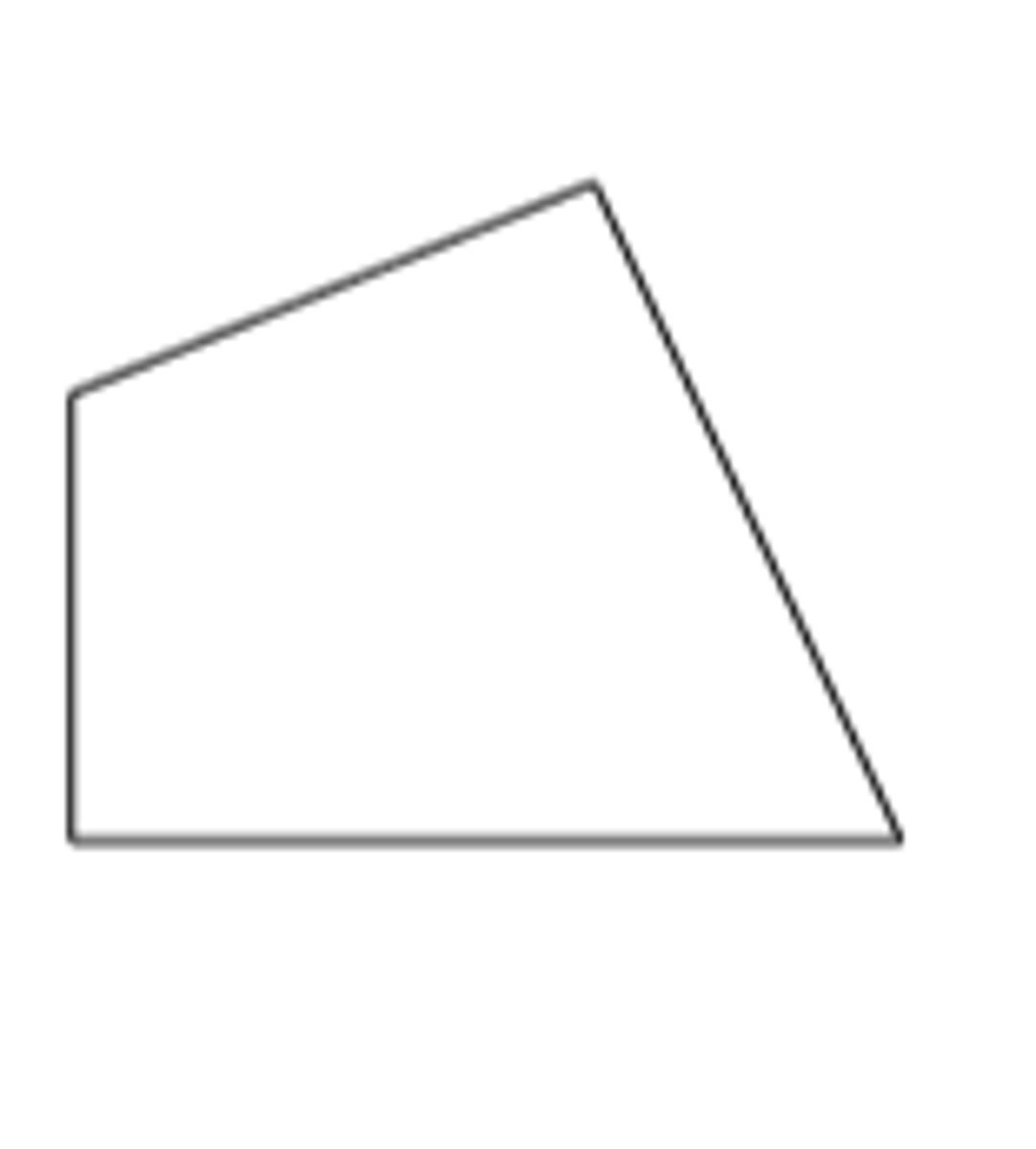 <p>Give the best name for this polygon.</p>