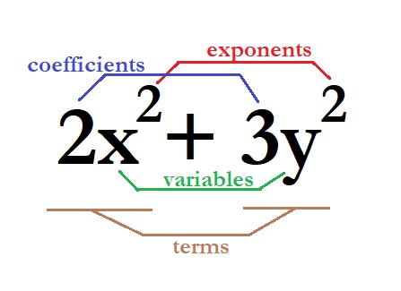 <p><strong>Binomial</strong>(noun)</p>