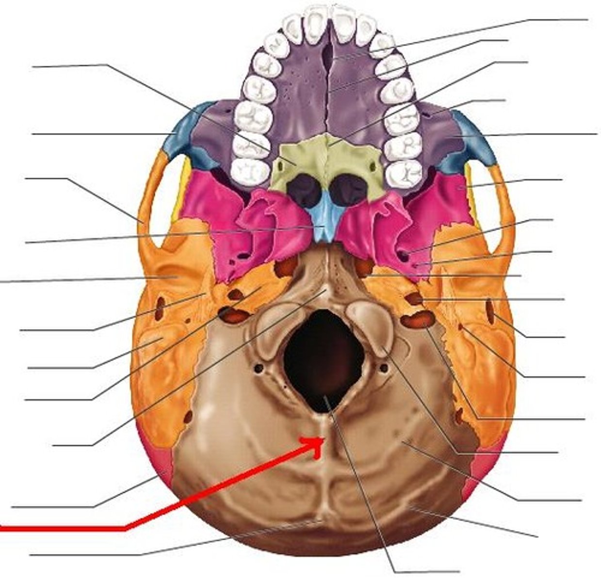 <p>Identify</p>