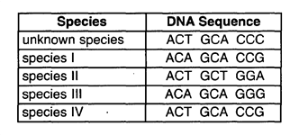DNA percentage similarities for these: