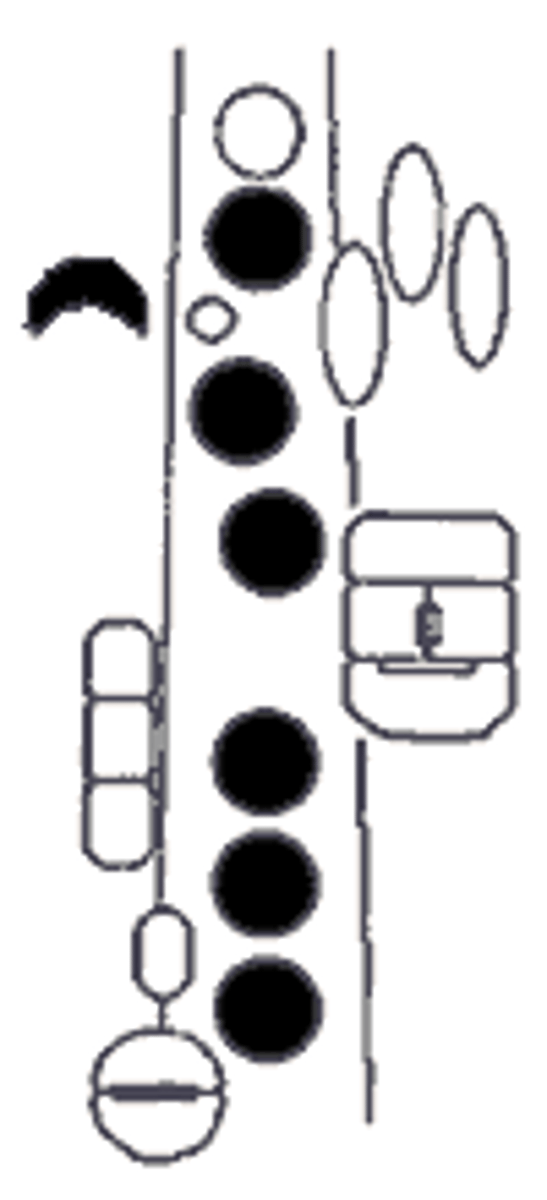 knowt flashcard image